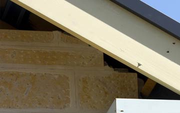 soffit repair Badrallach